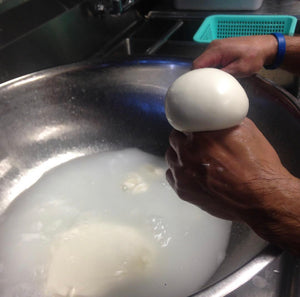 Fresh Mozzarella